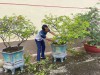 Hăng hái lao động, sẵn sàng chào đón năm học mới 2026-2027